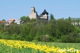 Zřícenina hradu Lipnice nad Sázavou